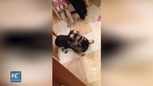 Видео порнуха #146310