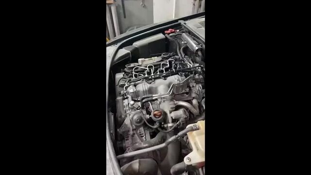 Видео порнуха #77724