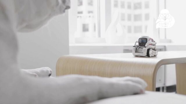 Видео порнуха #114999