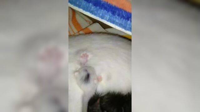 Видео порнуха #41138