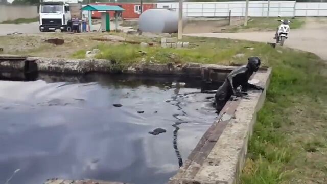 Видео порнуха #140268