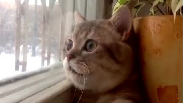 Видео порнуха #139660