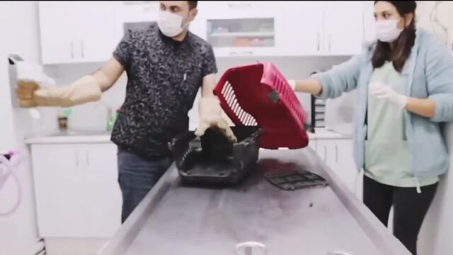 Видео порнуха #71752