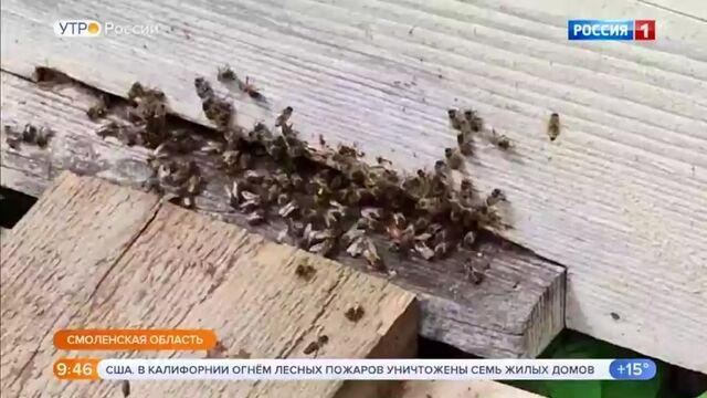 Видео порнуха #97845