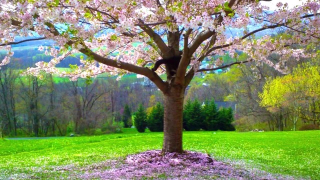 Видео порнуха #206756