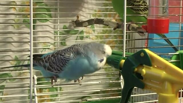 Видео порнуха #163594