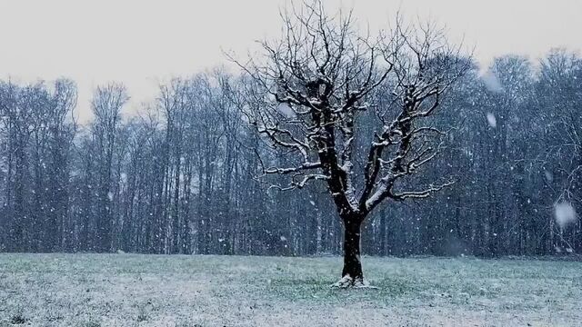 Видео порнуха #171074