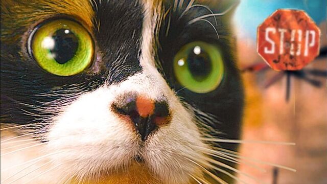 Видео порнуха #26047