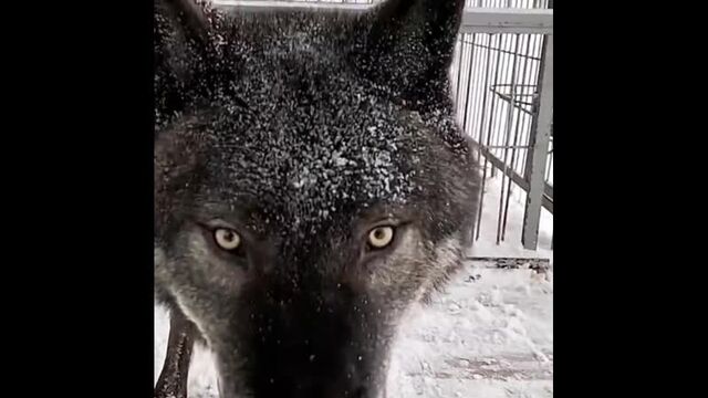 Видео порнуха #56159