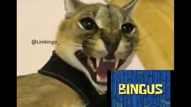 Видео порнуха #67375