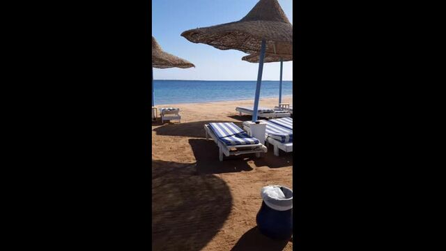 Видео порнуха #69018