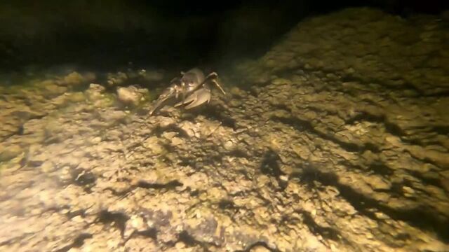 Видео порнуха #162807