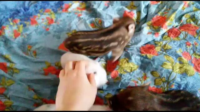 Видео порнуха #51151