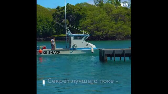 Видео порнуха #50327