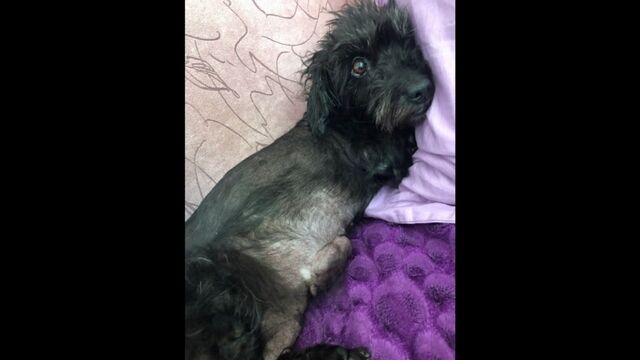 Видео порнуха #106810