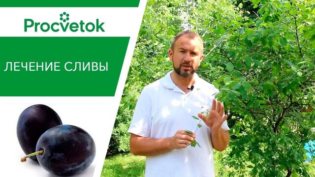 Видео порнуха #73168