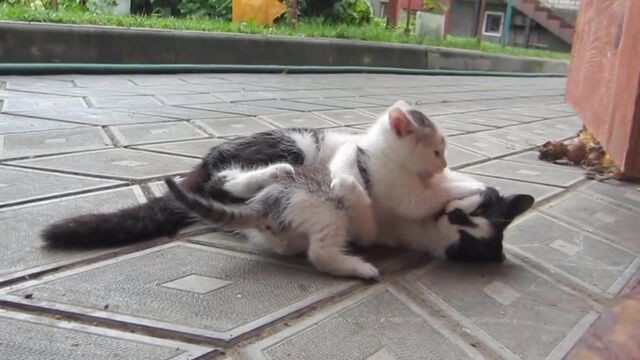 Видео порнуха #131479