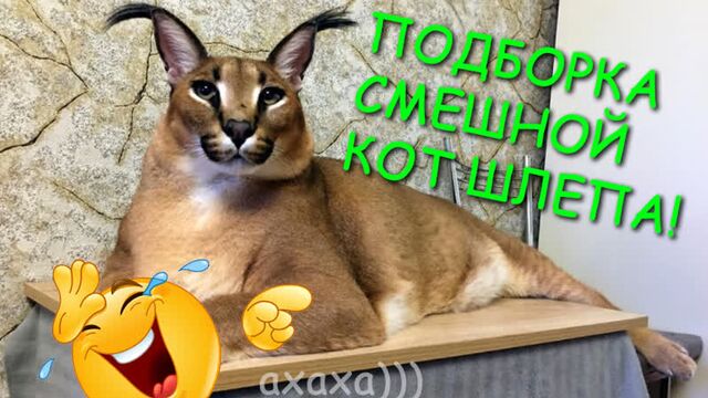 Видео порнуха #74031