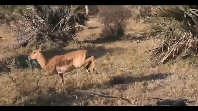 Видео порнуха #133595