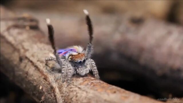 Видео порнуха #148022