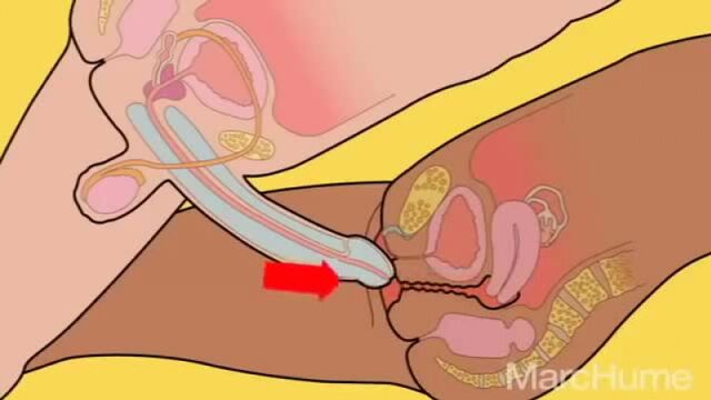 Видео порнуха #142603