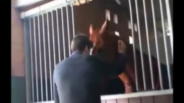 Видео порнуха #4129