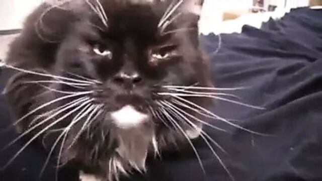 Видео порнуха #42180