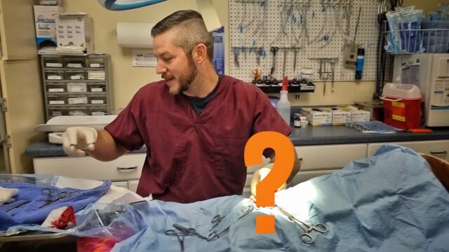 Видео порнуха #146333