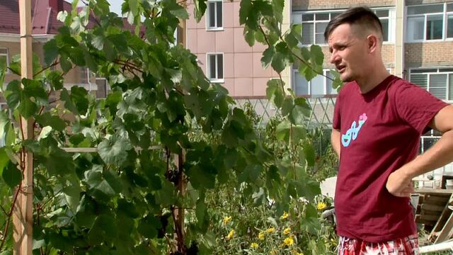 Видео порнуха #112733