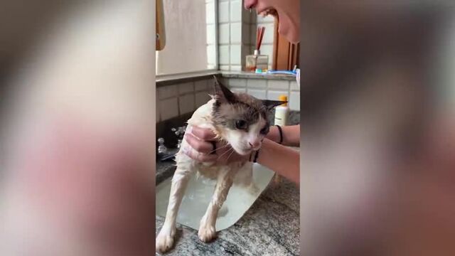 Видео порнуха #63130