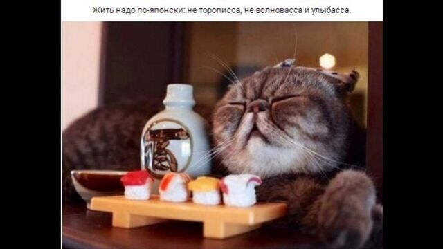 Видео порнуха #37916