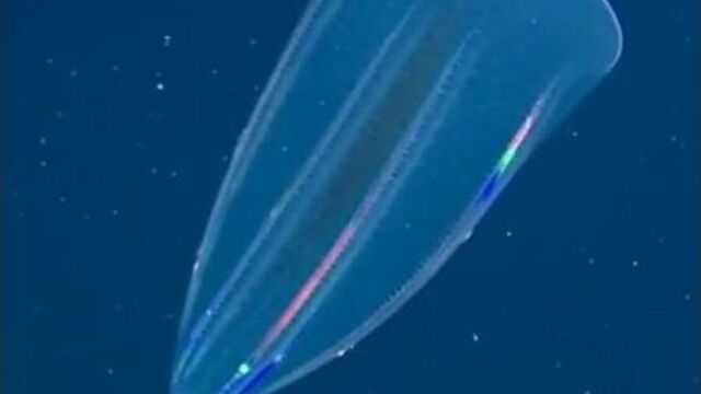 Видео порнуха #78871