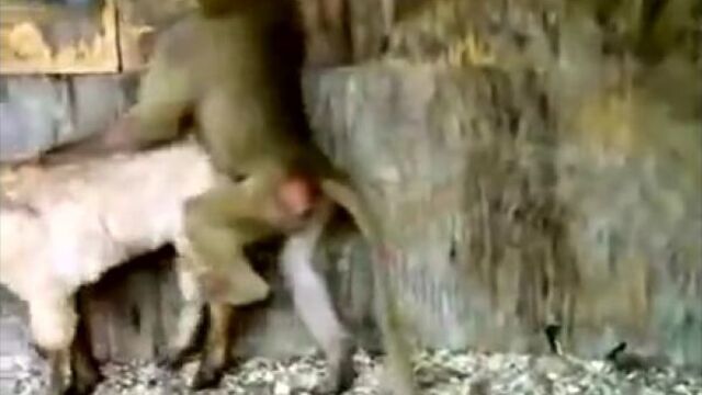 Видео порнуха #1514