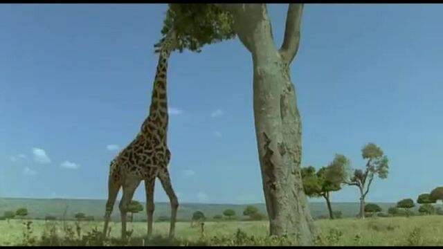 Видео порнуха #121696