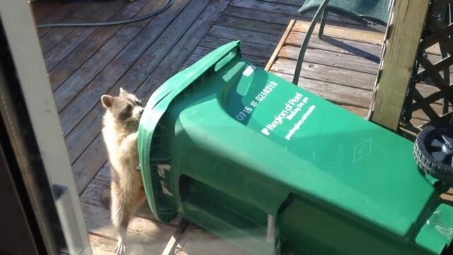 Видео порнуха #20179