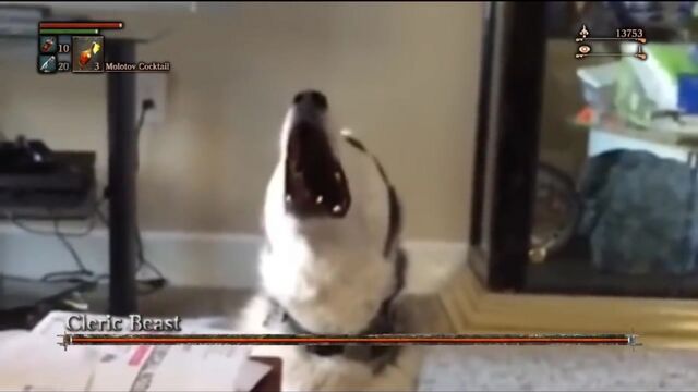 Видео порнуха #114125