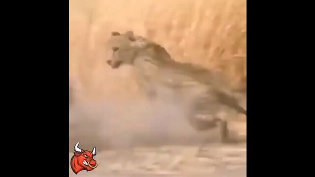 Видео порнуха #166914