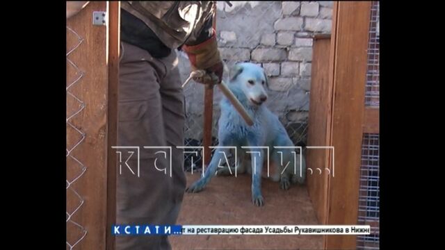 Видео порнуха #157667