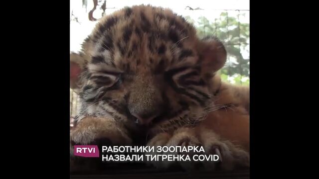 Видео порнуха #110626