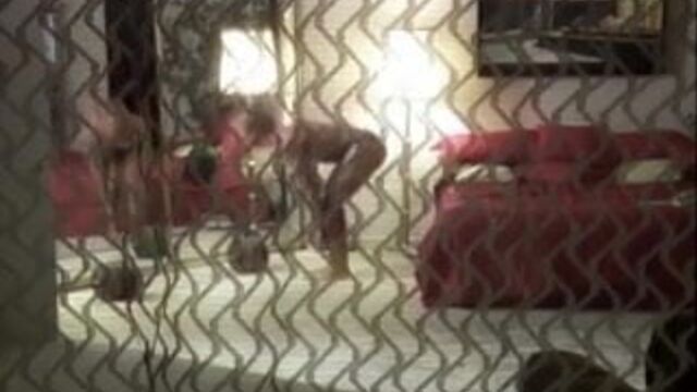 Видео порнуха #162861