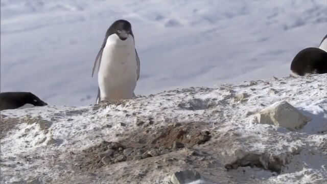Видео порнуха #190402