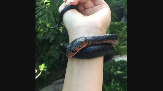 Видео порнуха #111052