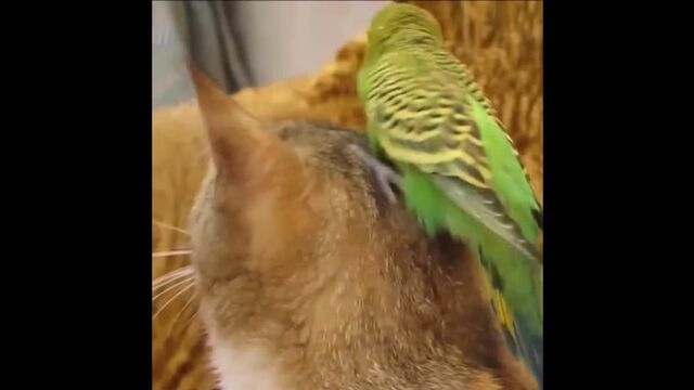 Видео порнуха #78796