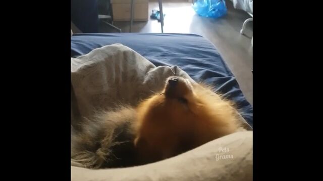 Видео порнуха #140653