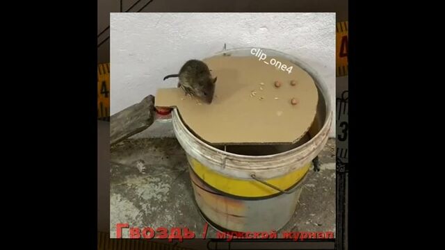 Видео порнуха #187252