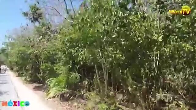 Видео порнуха #122690