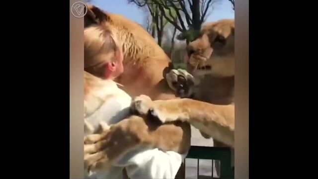 Видео порнуха #115599