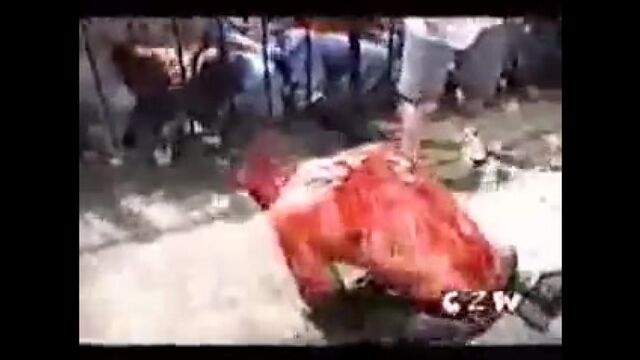 Видео порнуха #3379