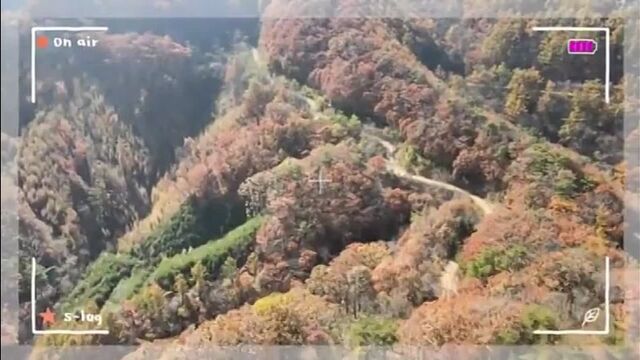 Видео порнуха #84263