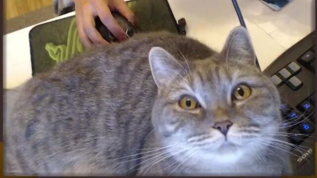 Видео порнуха #20449